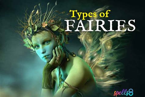 The Relationship Between Fairies and Witches